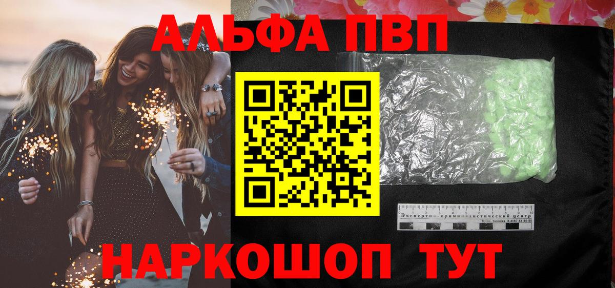 Alfa_PVP СК КРИС Коряжма