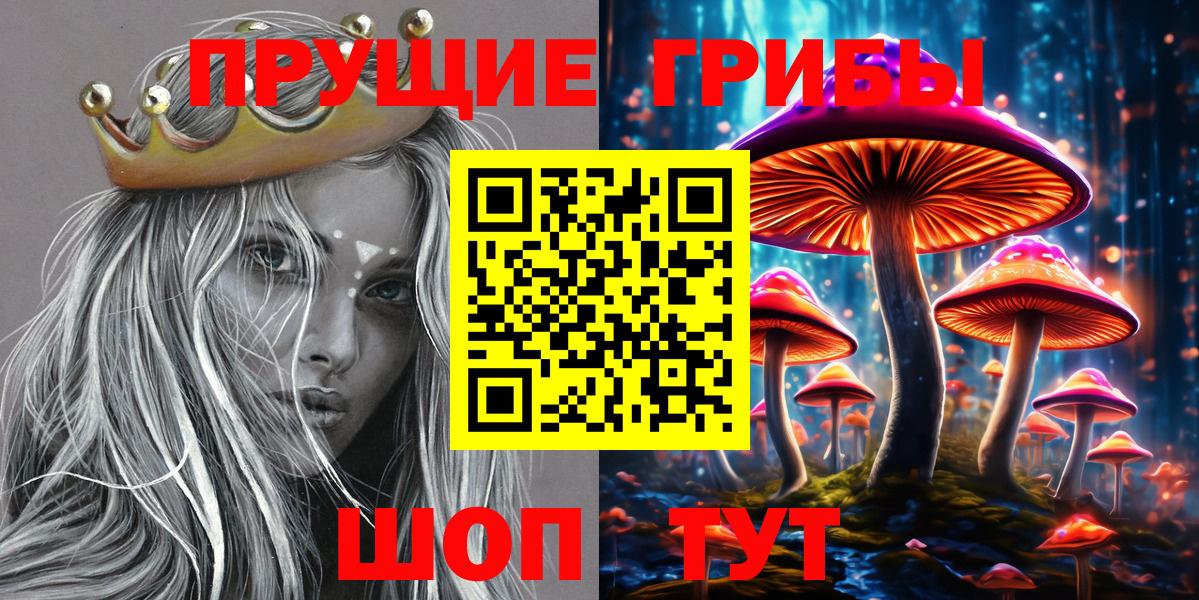 Псилоцибиновые грибы мицелий Коряжма