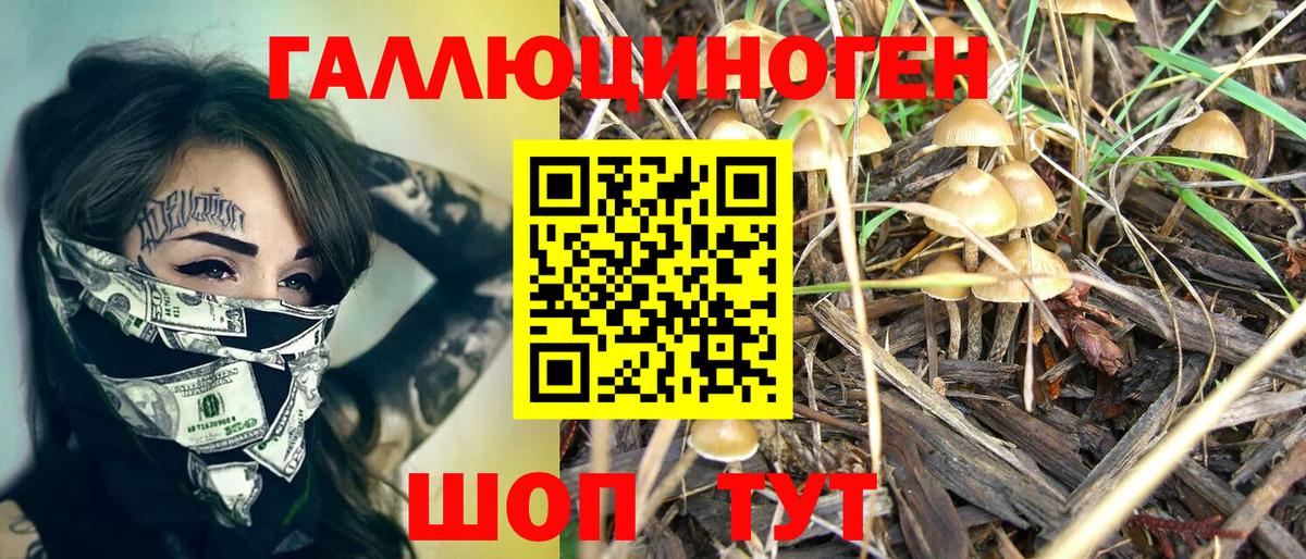 Псилоцибиновые грибы Cubensis  Псилоцибиновые грибы прущие грибы  Коряжма  Вход с VPN 